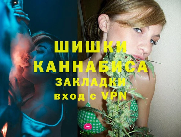хмурый Елизово