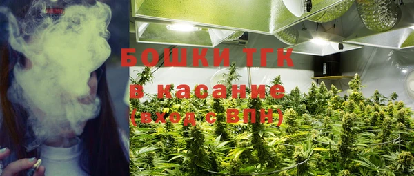 хмурый Елабуга