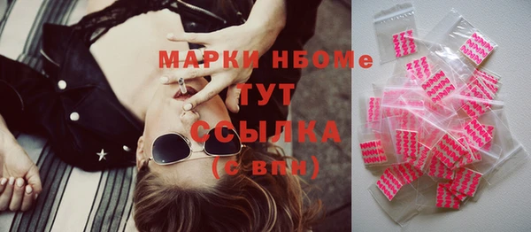 хмурый Елизово