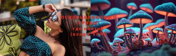mdma Заводоуковск