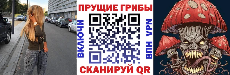 OMG ССЫЛКА  Певек  darknet состав  Галлюциногенные грибы MAGIC MUSHROOMS 