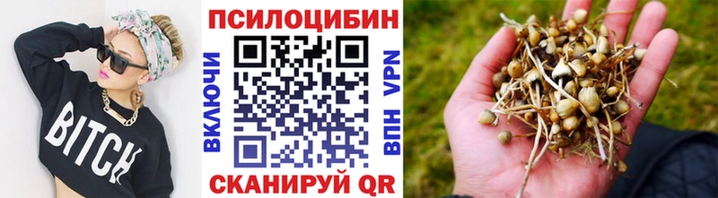 Галлюциногенные грибы мицелий Певек